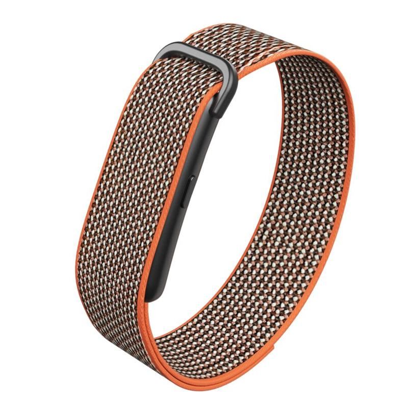 DS500 flagship screenless band